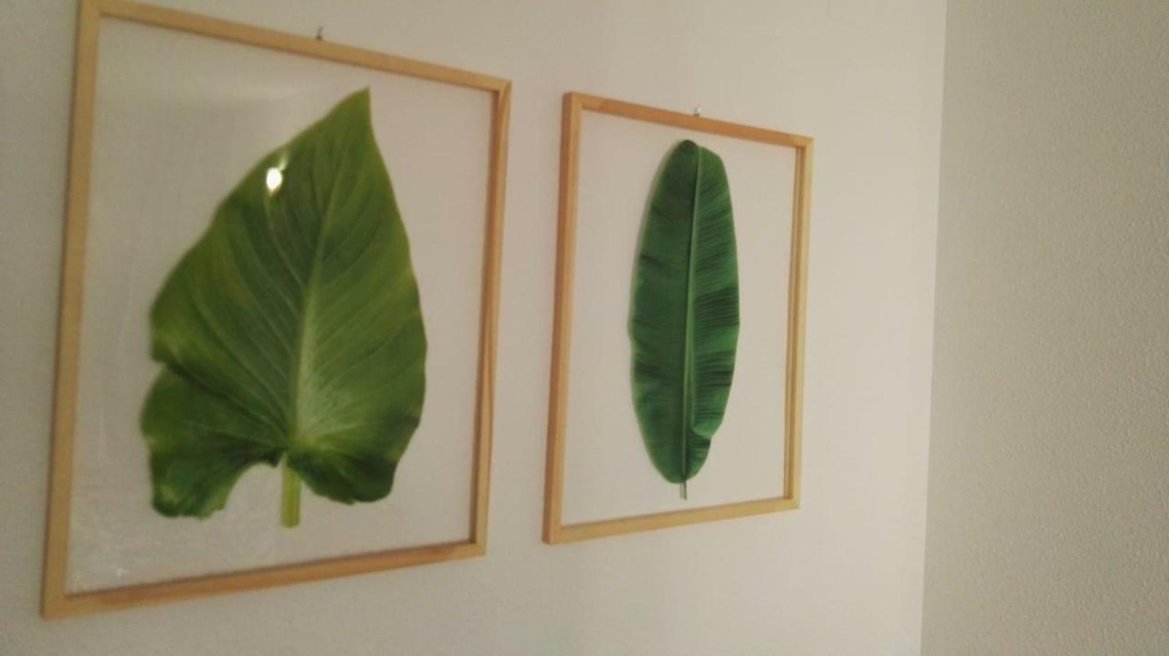 Azul Rentals Benidorm Flat 외부 사진